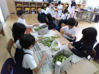IMG_20250508_104359