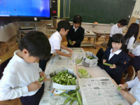 IMG_20250508_104753