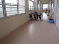 P4231440