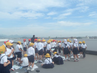 P5200007