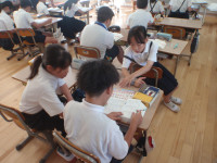 P5290449