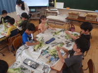 P7070052