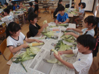 P7070054