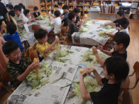 P7070061